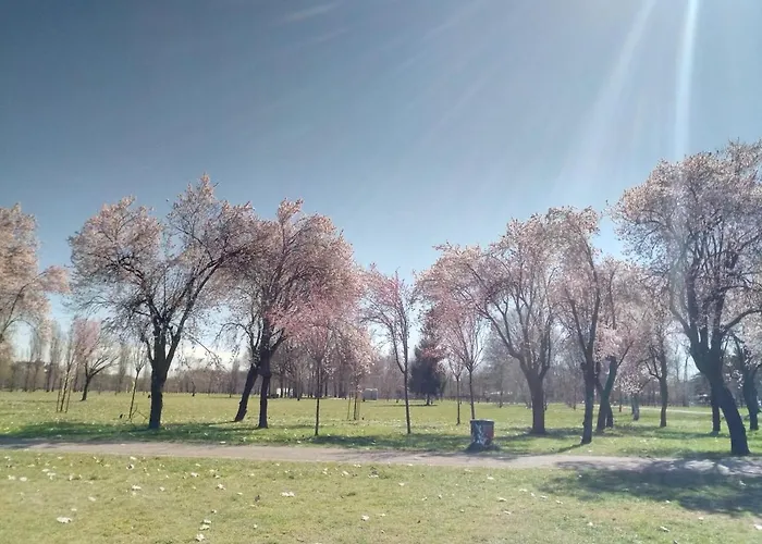 公寓 Risplendente 米兰